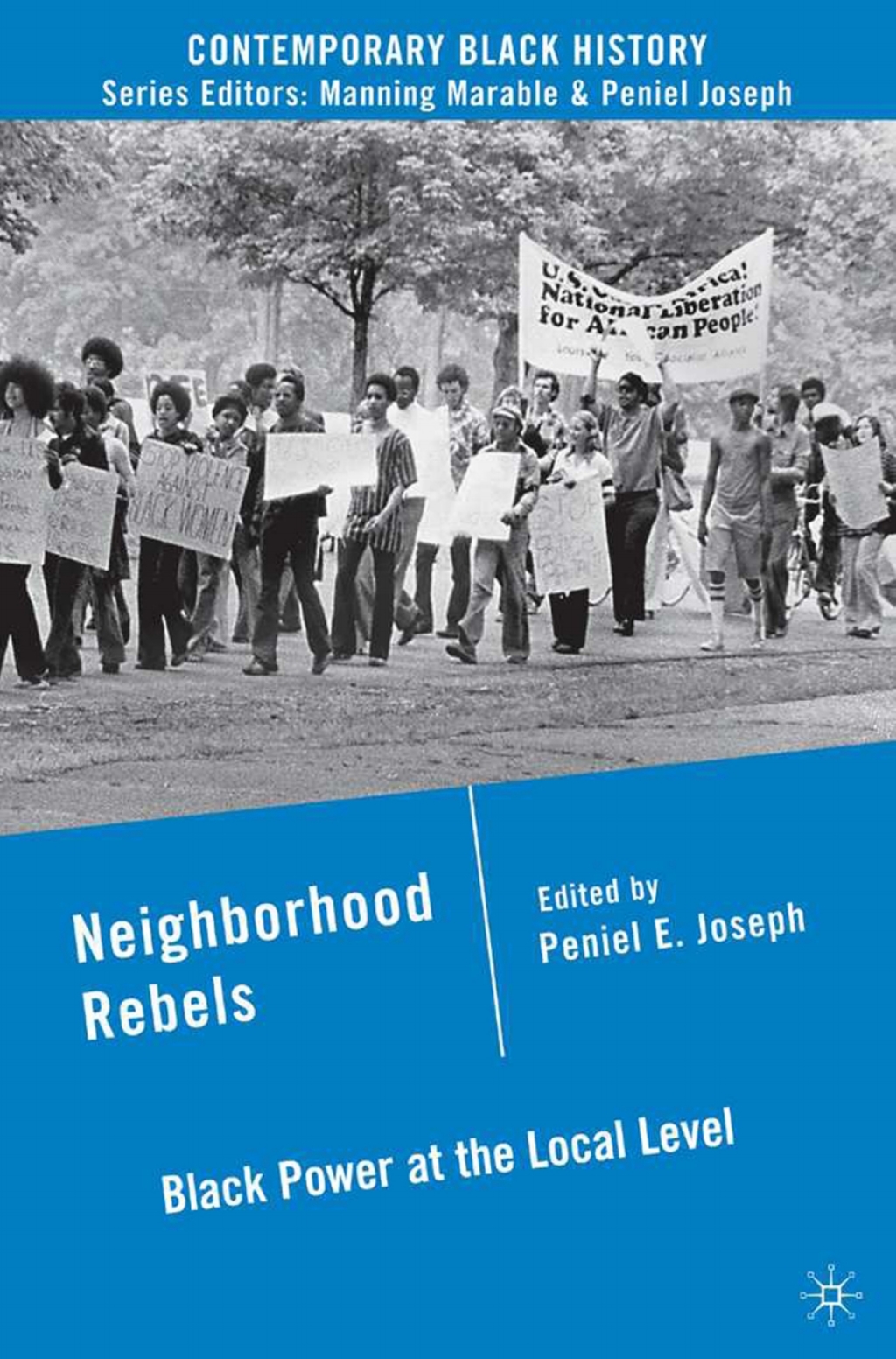Neighborhood Rebels Black Power at the Local Level  â€“ PDF/EPUB Version Downloadable
