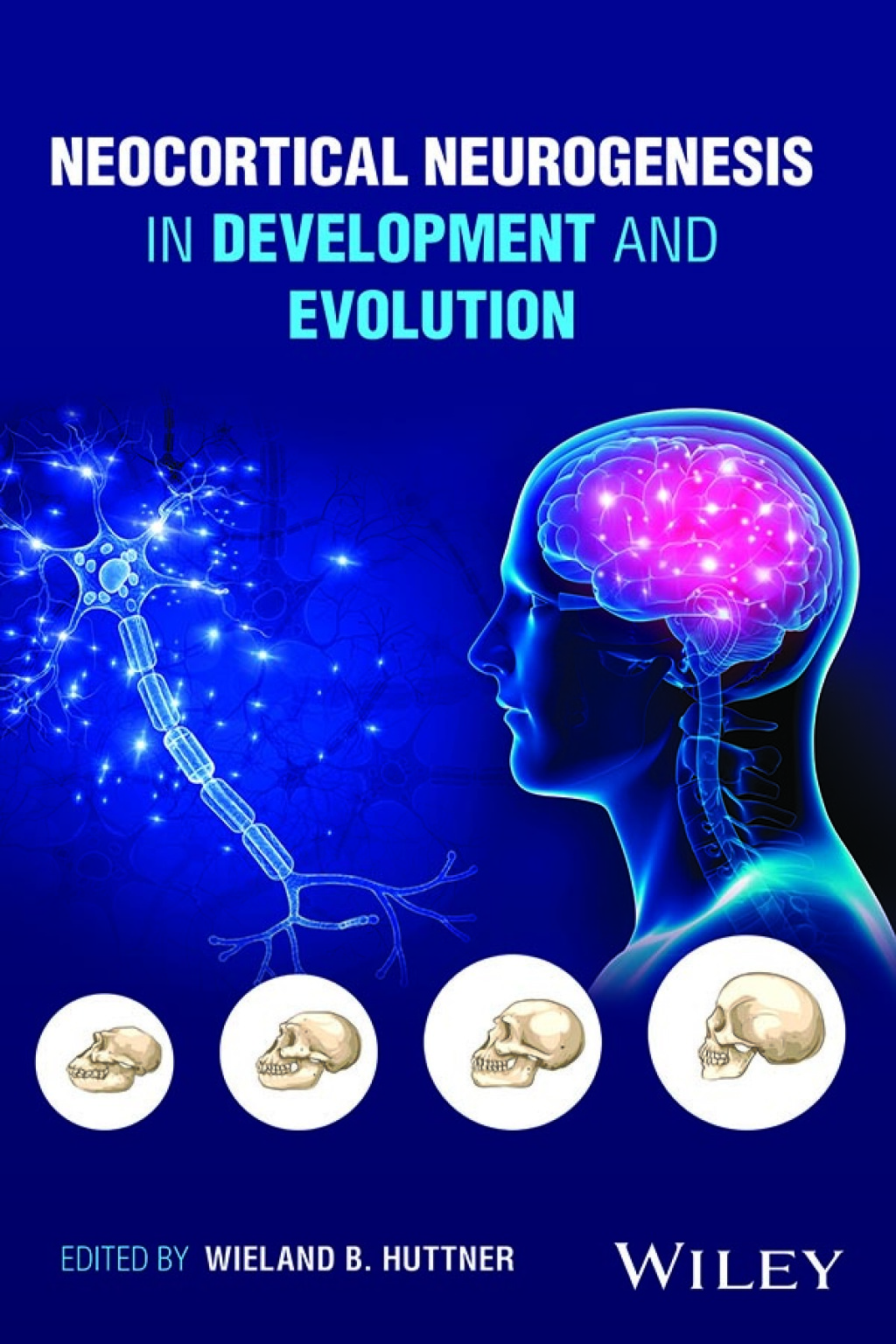 Neocortical Neurogenesis in Development and Evolution 1st Edition â€“ PDF/EPUB Version Downloadable