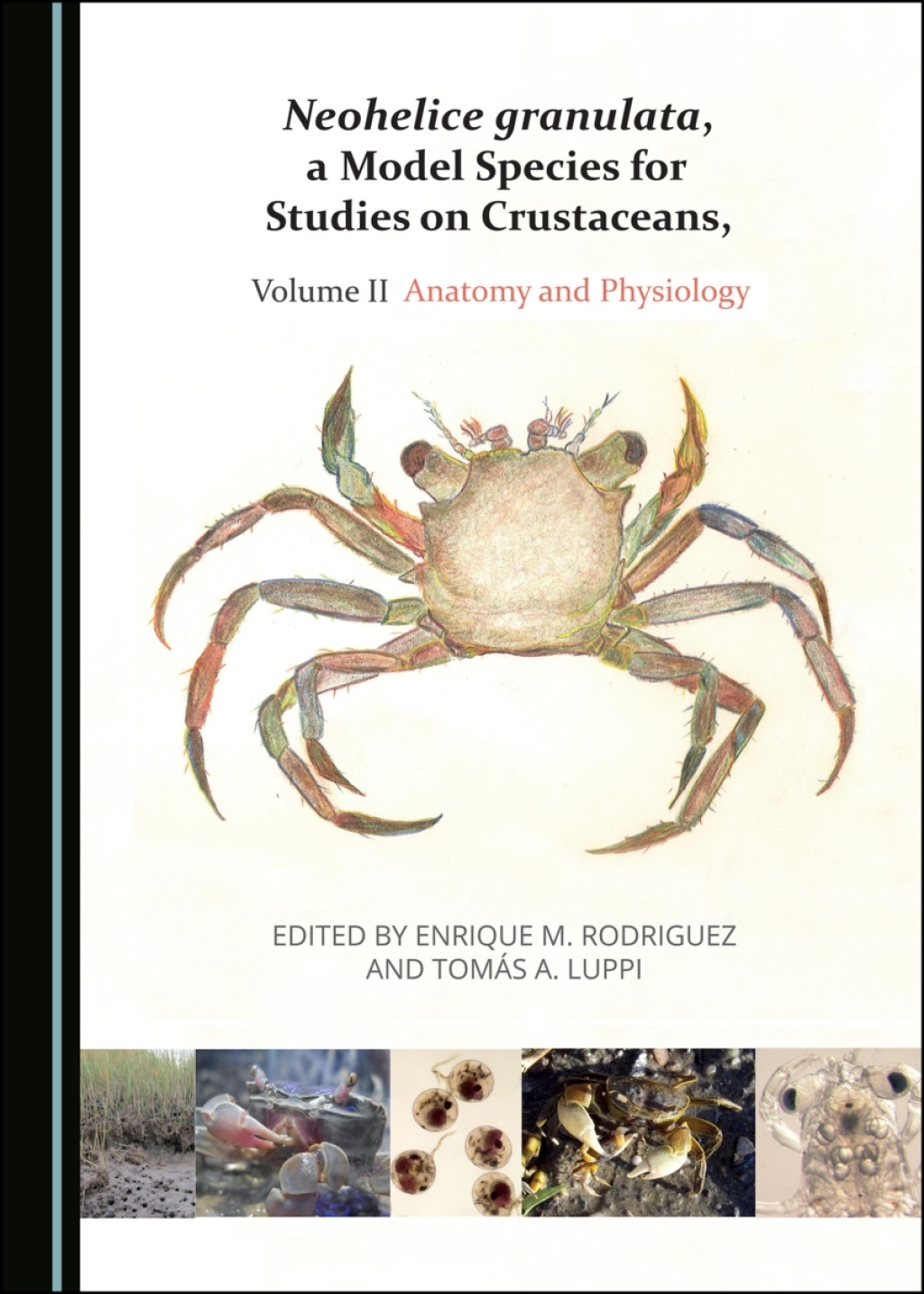 Neohelice granulata, a Model Species for Studies on Crustaceans, Volume II Anatomy and Physiology 1st Edition â€“ PDF/EPUB Version Downloadable