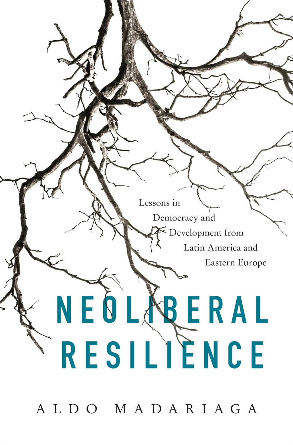 Neoliberal Resilience Lessons in Democracy and Development from Latin America and Eastern Europe  â€“ PDF/EPUB Version Downloadable