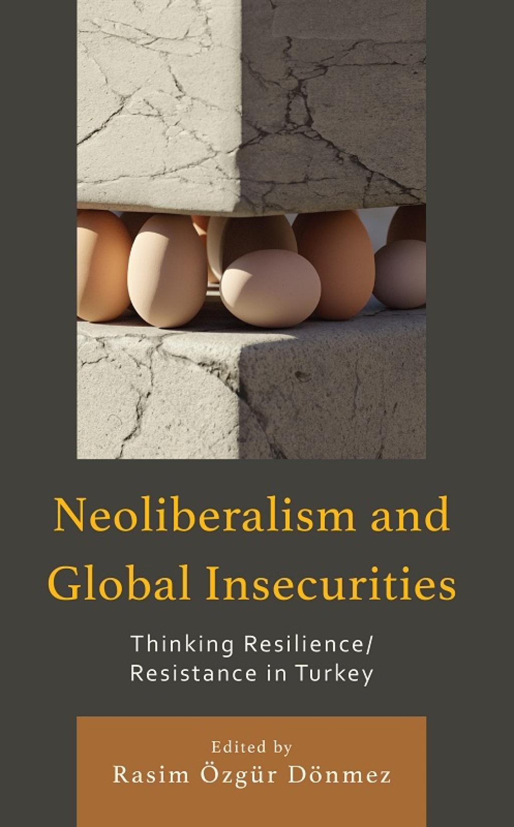 Neoliberalism and Global Insecurities Thinking Resilience/Resistance in Turkey 1st Edition â€“ PDF/EPUB Version Downloadable