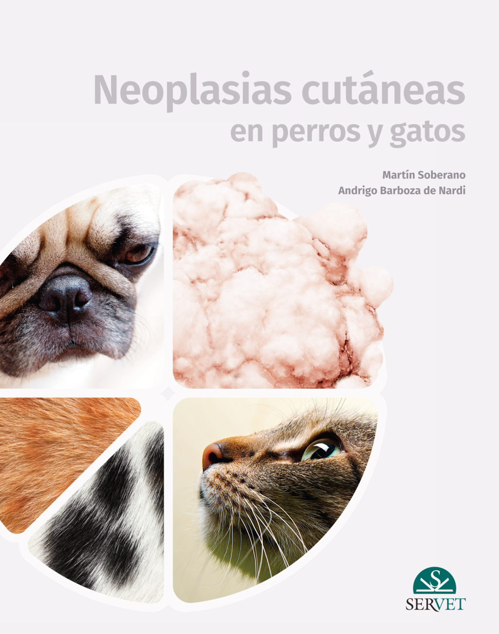 Neoplasias cutÃ¡neas en perros y gatos 1st Edition â€“ PDF/EPUB Version Downloadable