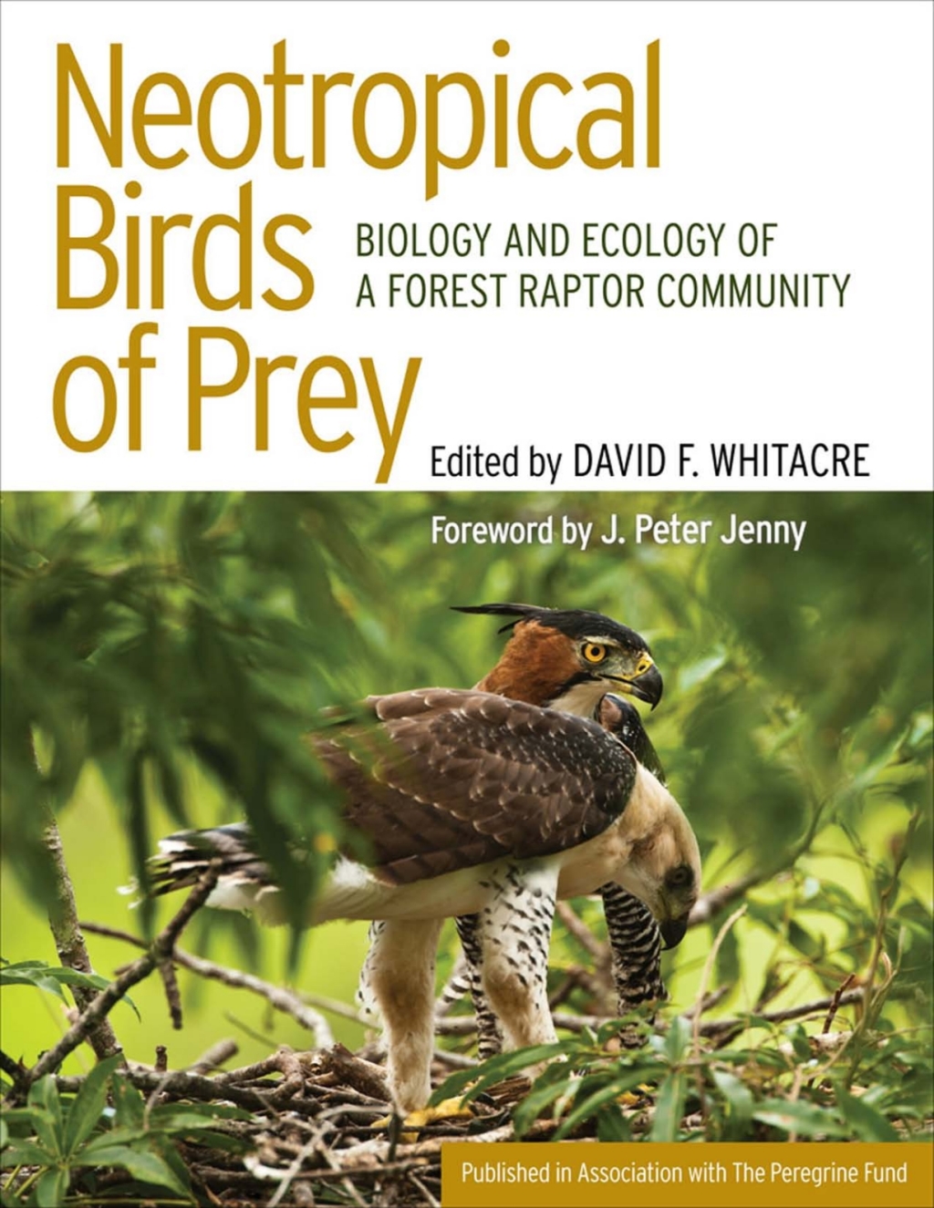 Neotropical Birds of Prey Biology and Ecology of a Forest Raptor Community  â€“ PDF/EPUB Version Downloadable