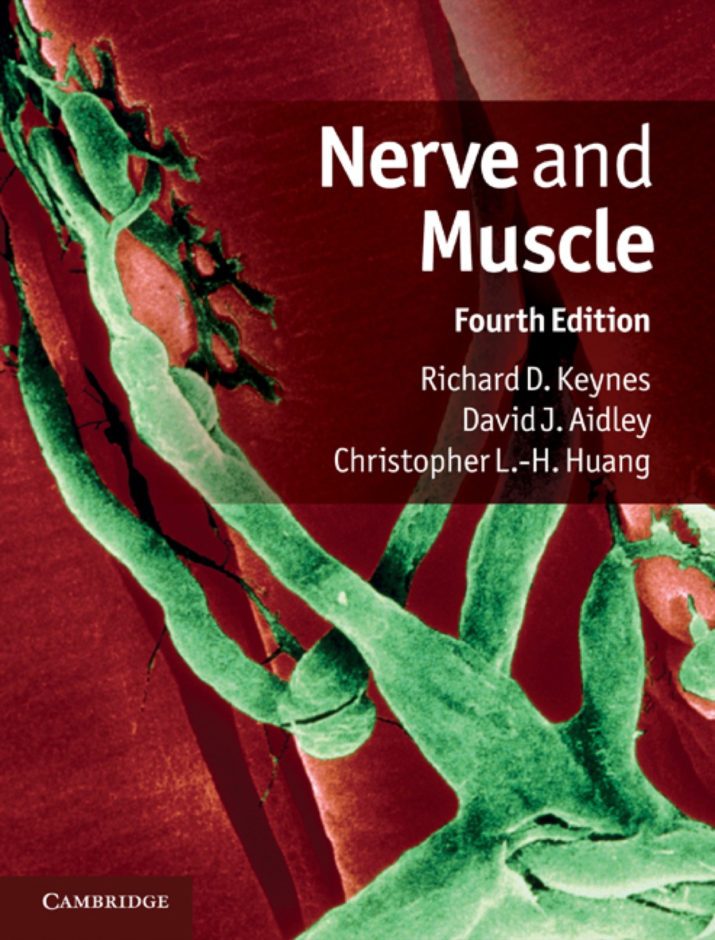Nerve and Muscle 4th Edition â€“ PDF/EPUB Version Downloadable