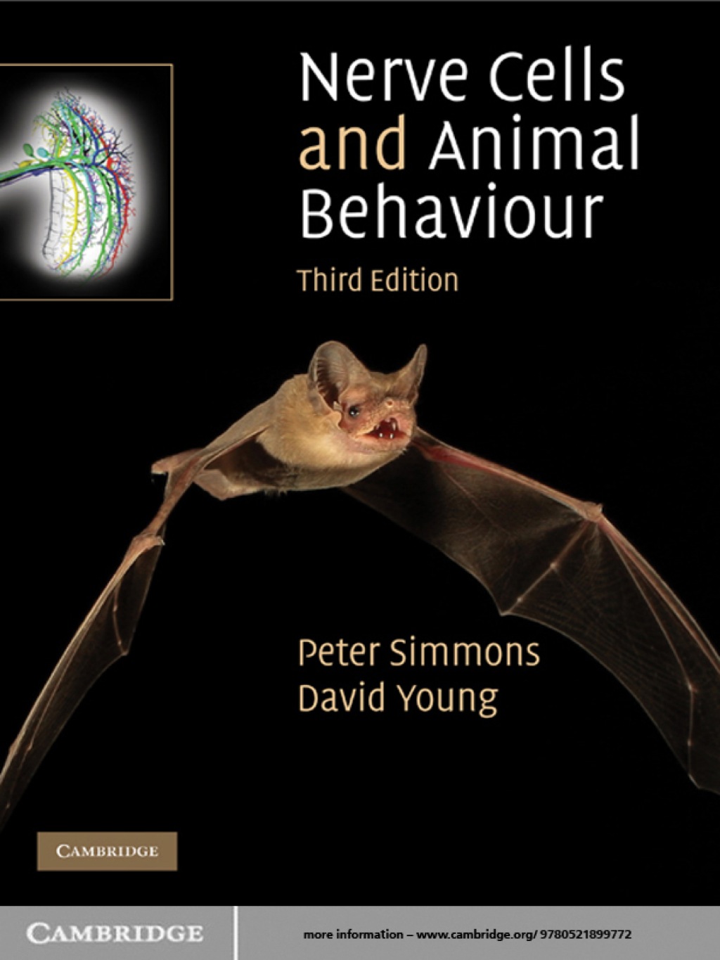 Nerve Cells and Animal Behaviour 3rd Edition â€“ PDF/EPUB Version Downloadable