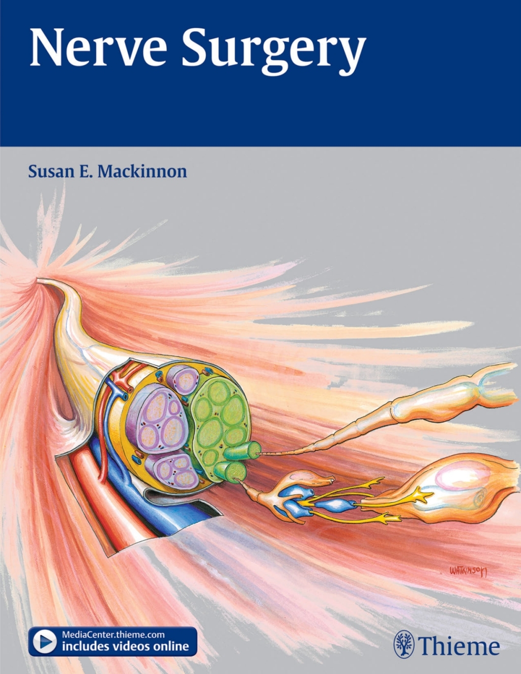 Nerve Surgery 1st Edition â€“ PDF/EPUB Version Downloadable