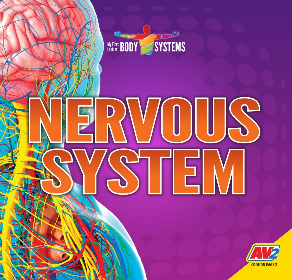 Nervous System 1st Edition â€“ PDF/EPUB Version Downloadable