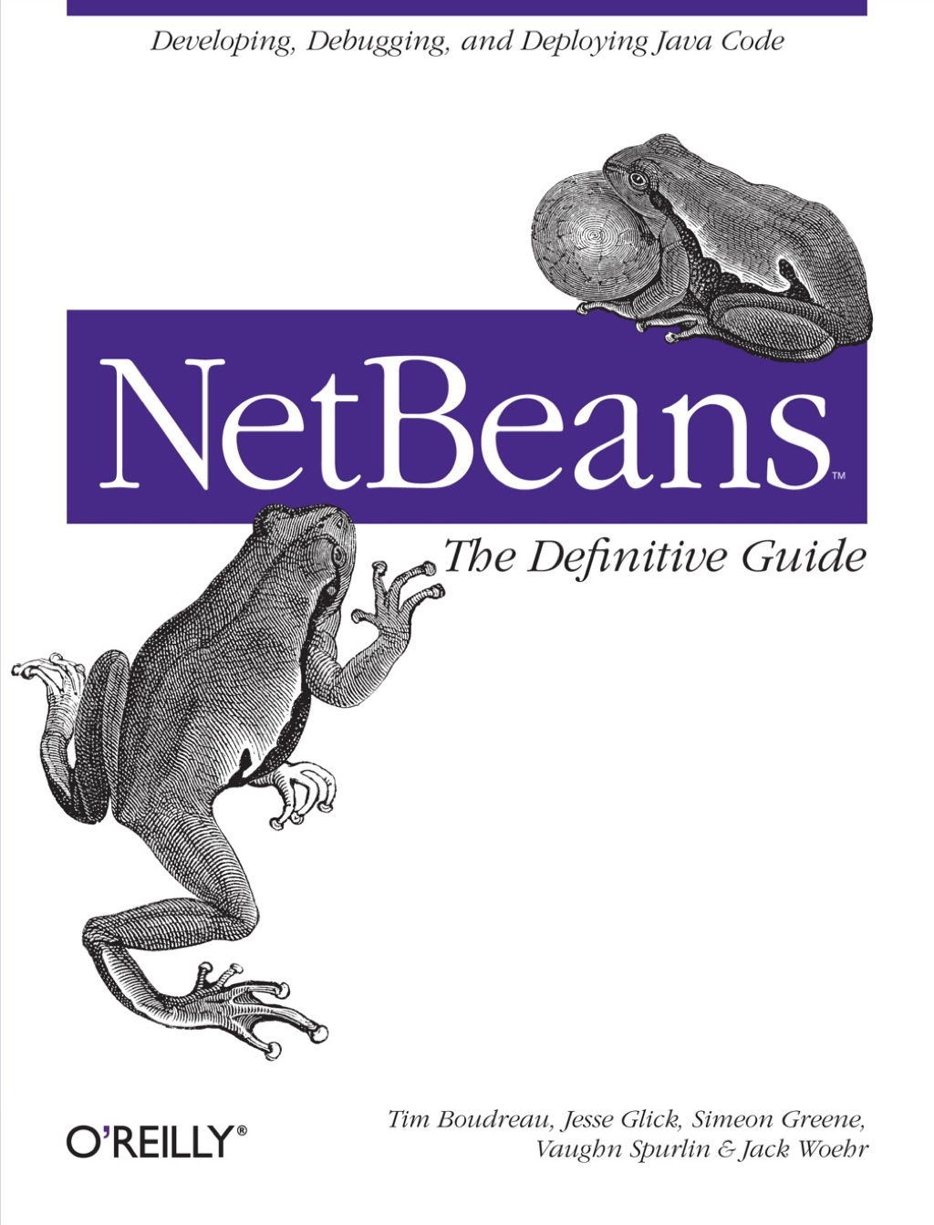 NetBeans: The Definitive Guide 1st Edition â€“ PDF/EPUB Version Downloadable