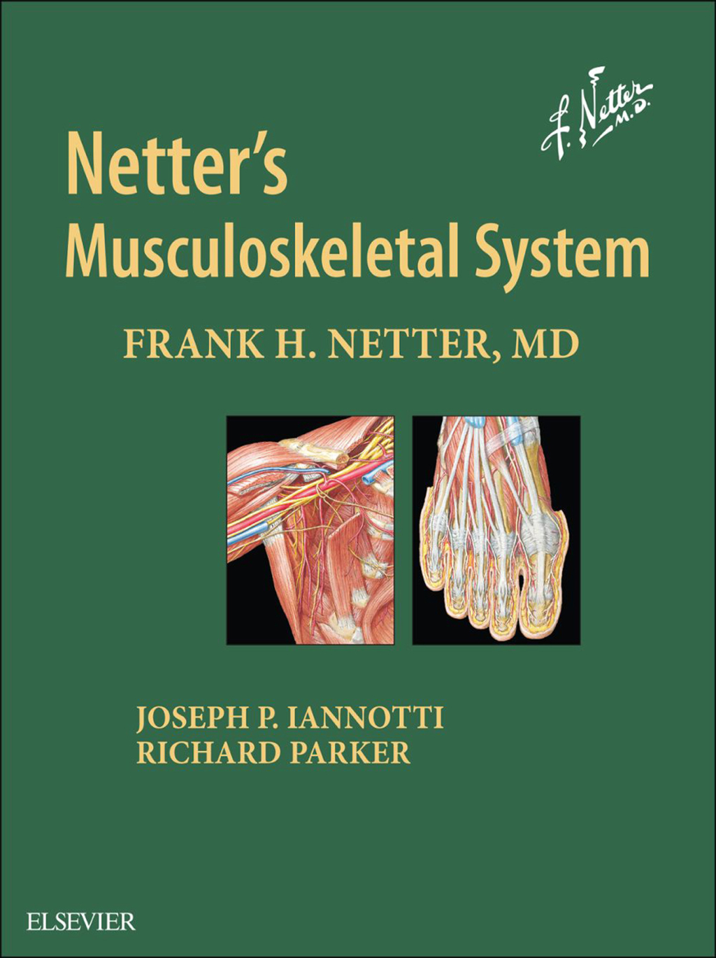 Netterâ€™s Musculoskeletal System 2nd Edition â€“ PDF/EPUB Version Downloadable