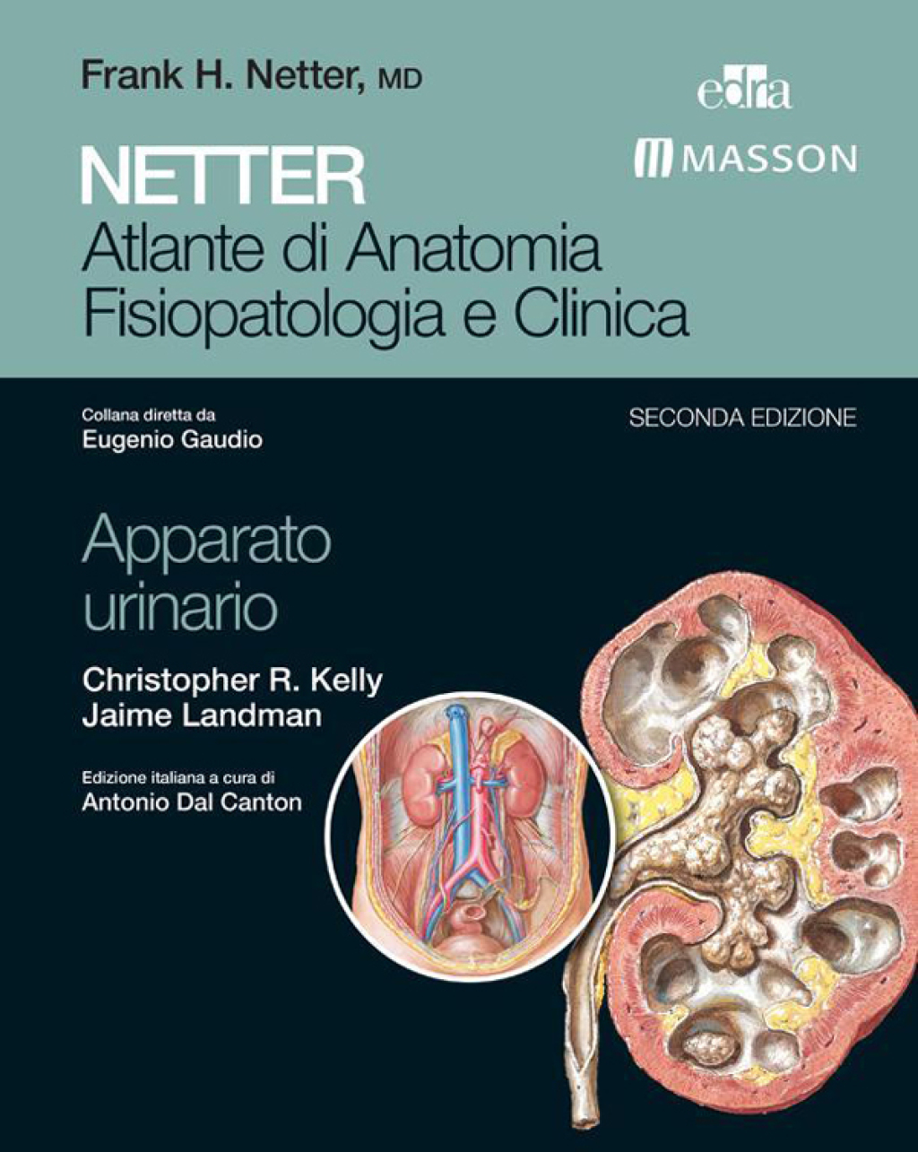 Netter Atlante di anatomia fisiopatologia e clinica Apparato Urinario 2nd Edition â€“ PDF/EPUB Version Downloadable