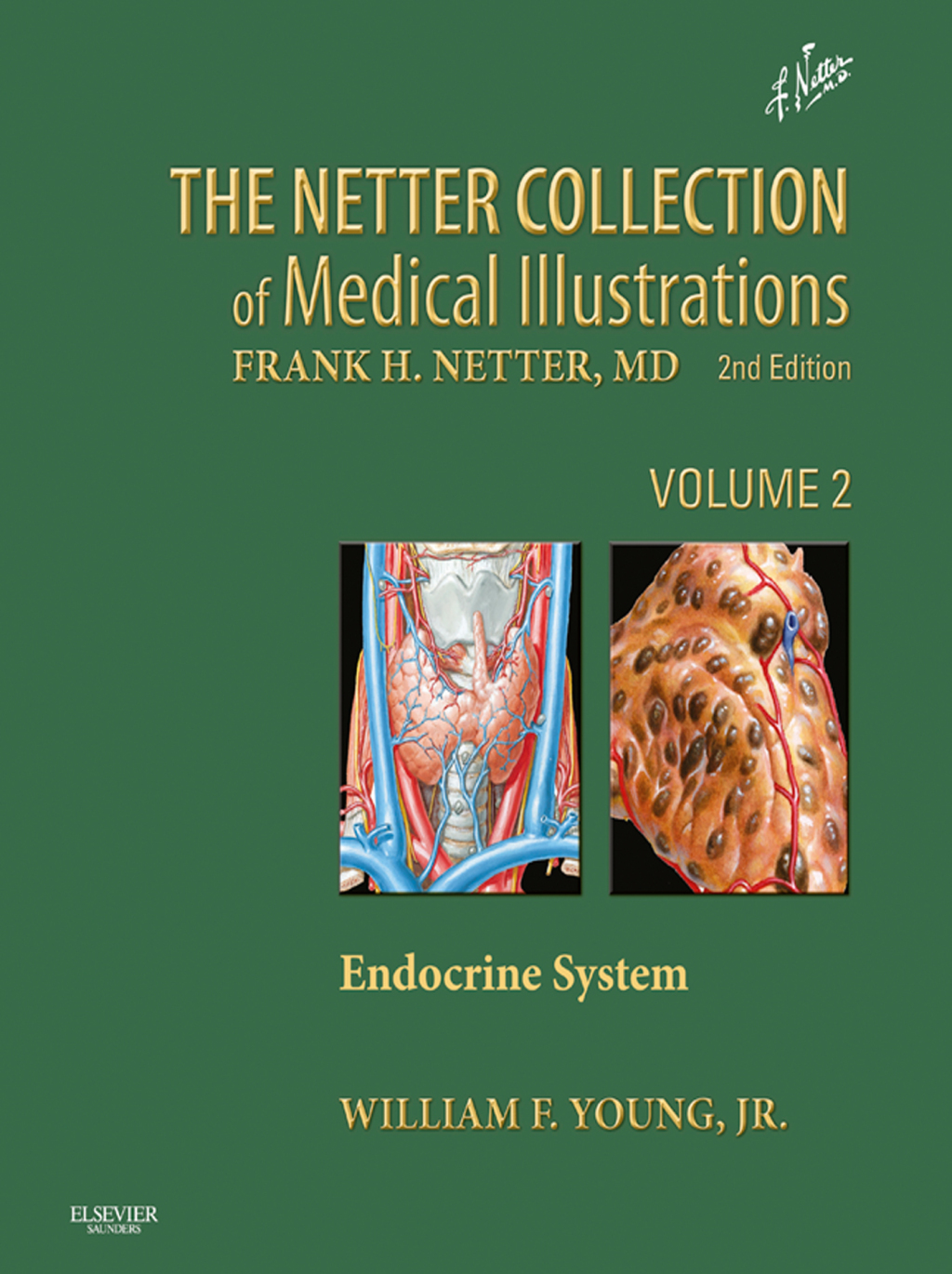 Netter Collection of Medical Illustrations: Endocrine System Volume 2 2nd Edition â€“ PDF/EPUB Version Downloadable