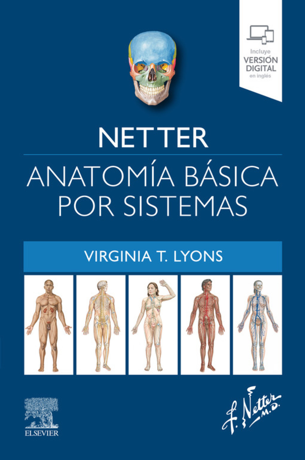 Netter. AnatomÃ­a bÃ¡sica por sistemas 1st Edition â€“ PDF/EPUB Version Downloadable