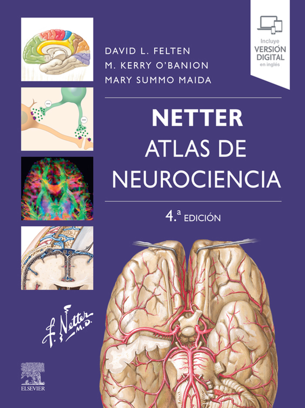 Netter. Atlas de neurociencia 4th Edition â€“ PDF/EPUB Version Downloadable