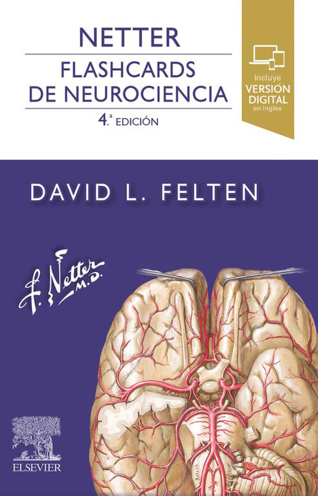 Netter. Flashcards de neurociencia 4th Edition - (PDF/EPUB Version)