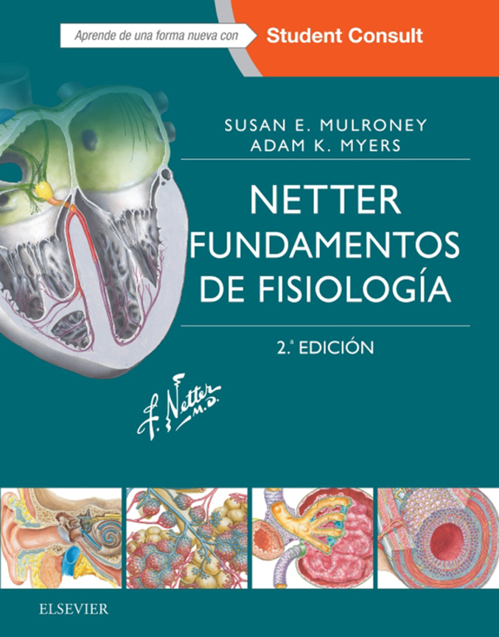 Netter. Fundamentos de fisiologÃ­a 2nd Edition â€“ PDF/EPUB Version Downloadable