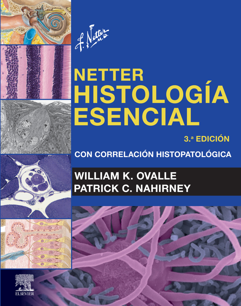Netter. HistologÃ­a esencial con correlaciÃ³n histopatolÃ³gica 3rd Edition â€“ PDF/EPUB Version Downloadable