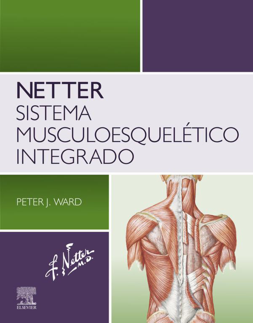 Netter. Sistema musculoesquelÃ©tico integrado 1st Edition â€“ PDF/EPUB Version Downloadable