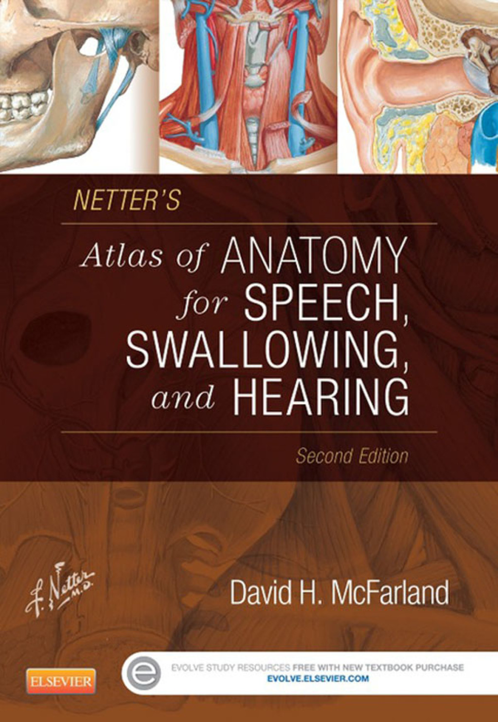Netter's Atlas of Anatomy for Speech, Swallowing, and Hearing 2nd Edition â€“ PDF/EPUB Version Downloadable