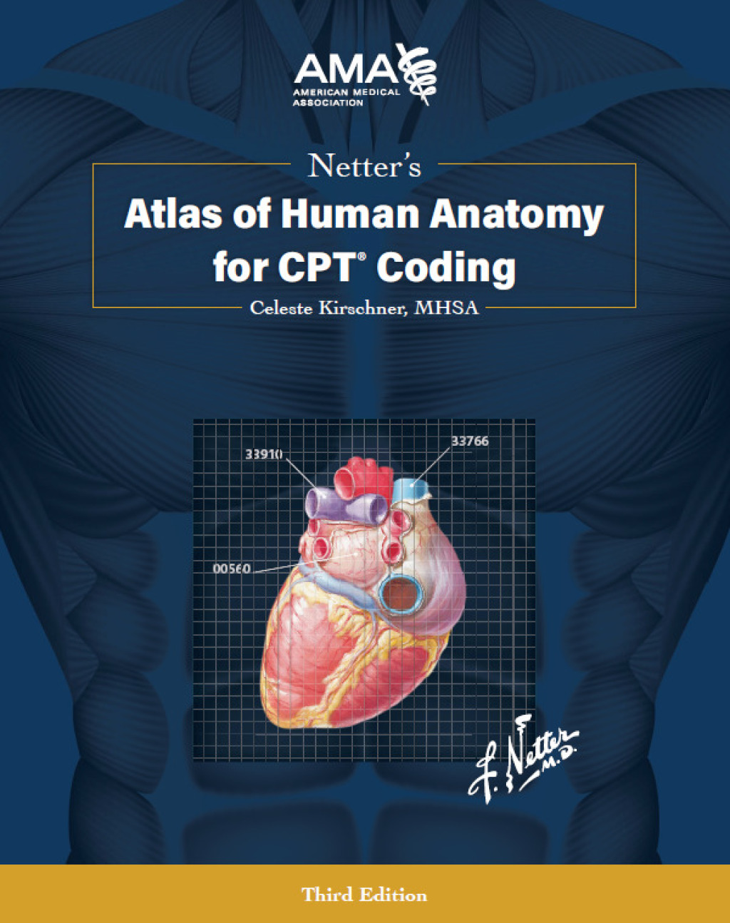 Netter's Atlas of Human Anatomy for CPT Coding 3rd Edition â€“ PDF/EPUB Version Downloadable
