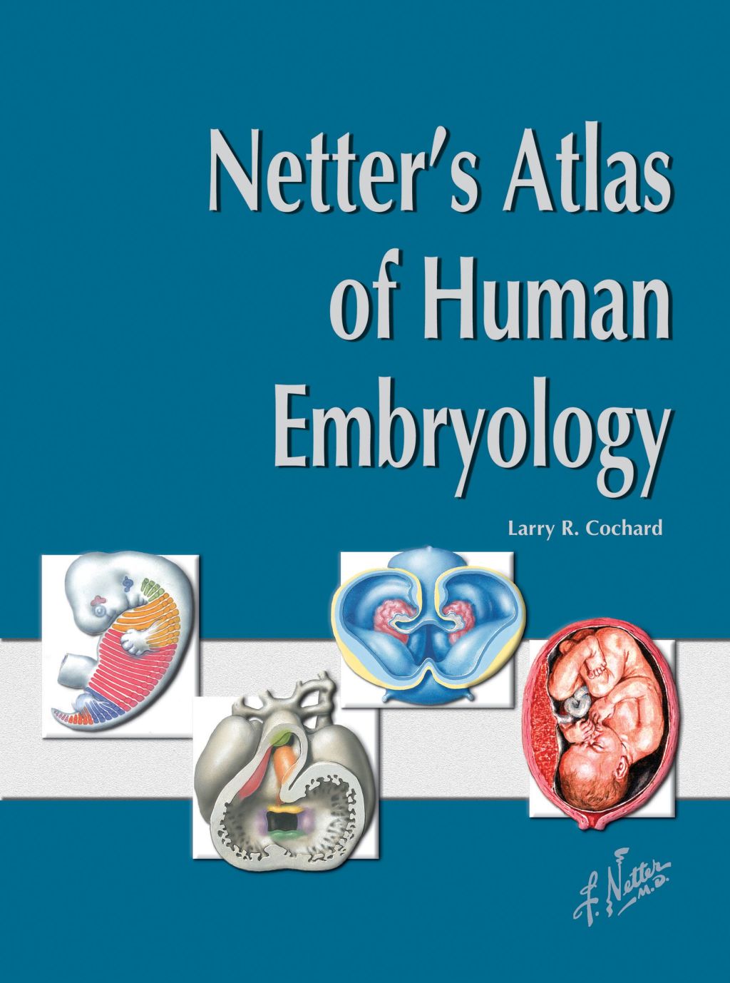 Netter's Atlas of Human Embryology 1st Edition â€“ PDF/EPUB Version Downloadable