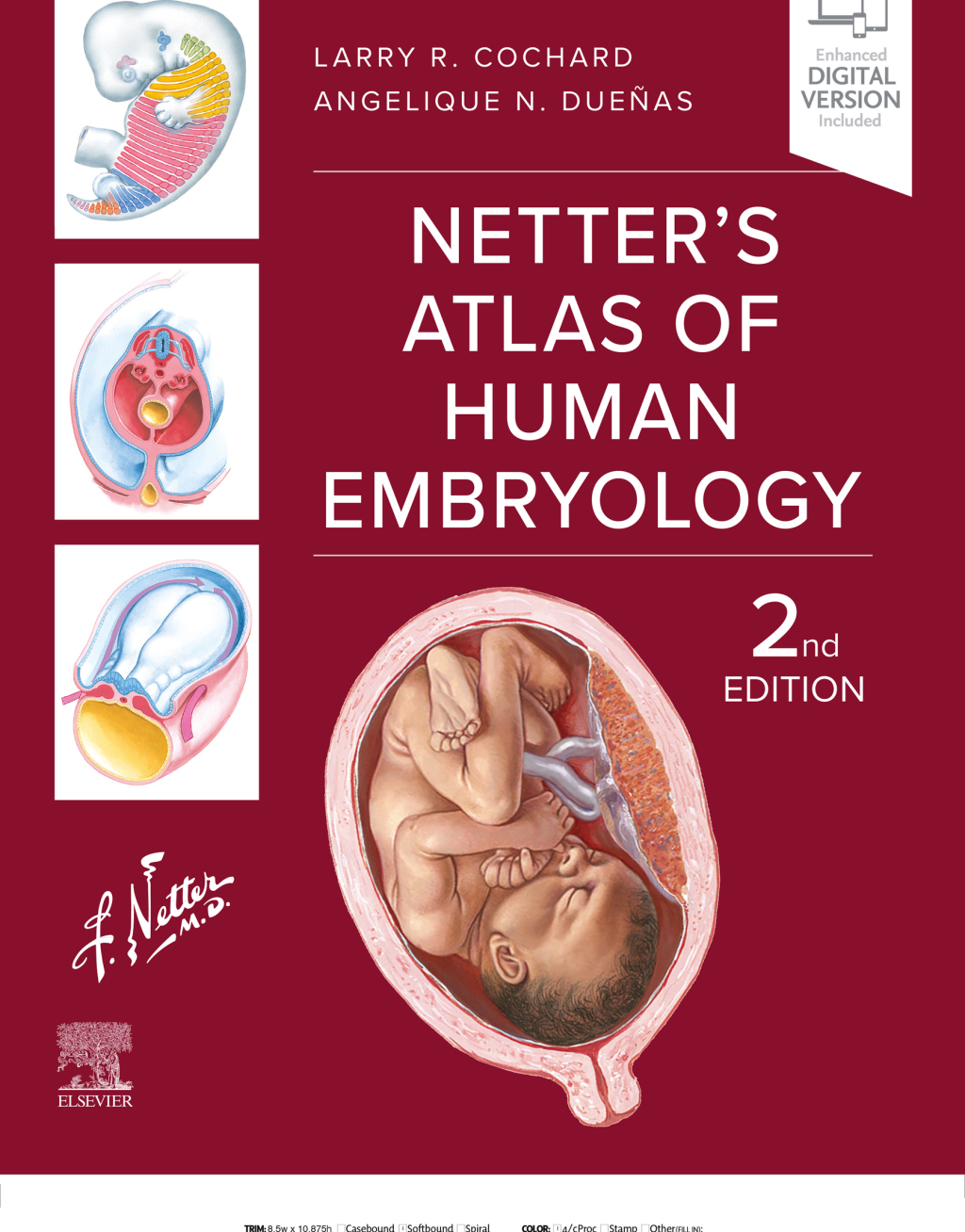 Netter's Atlas of Human Embryology 2nd Edition â€“ PDF/EPUB Version Downloadable