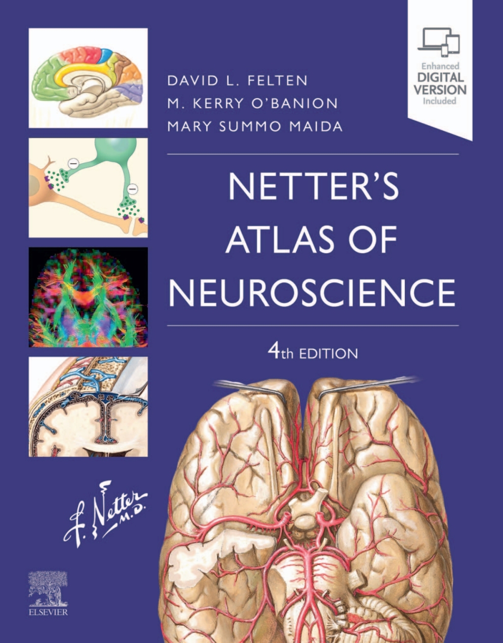 Netter's Atlas of Neuroscience 4th Edition â€“ PDF/EPUB Version Downloadable