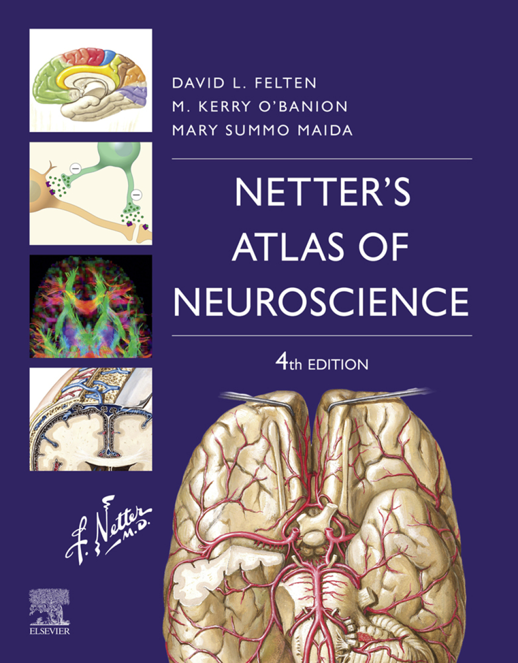 Netter's Atlas of Neuroscience 4th Edition â€“ PDF/EPUB Version Downloadable