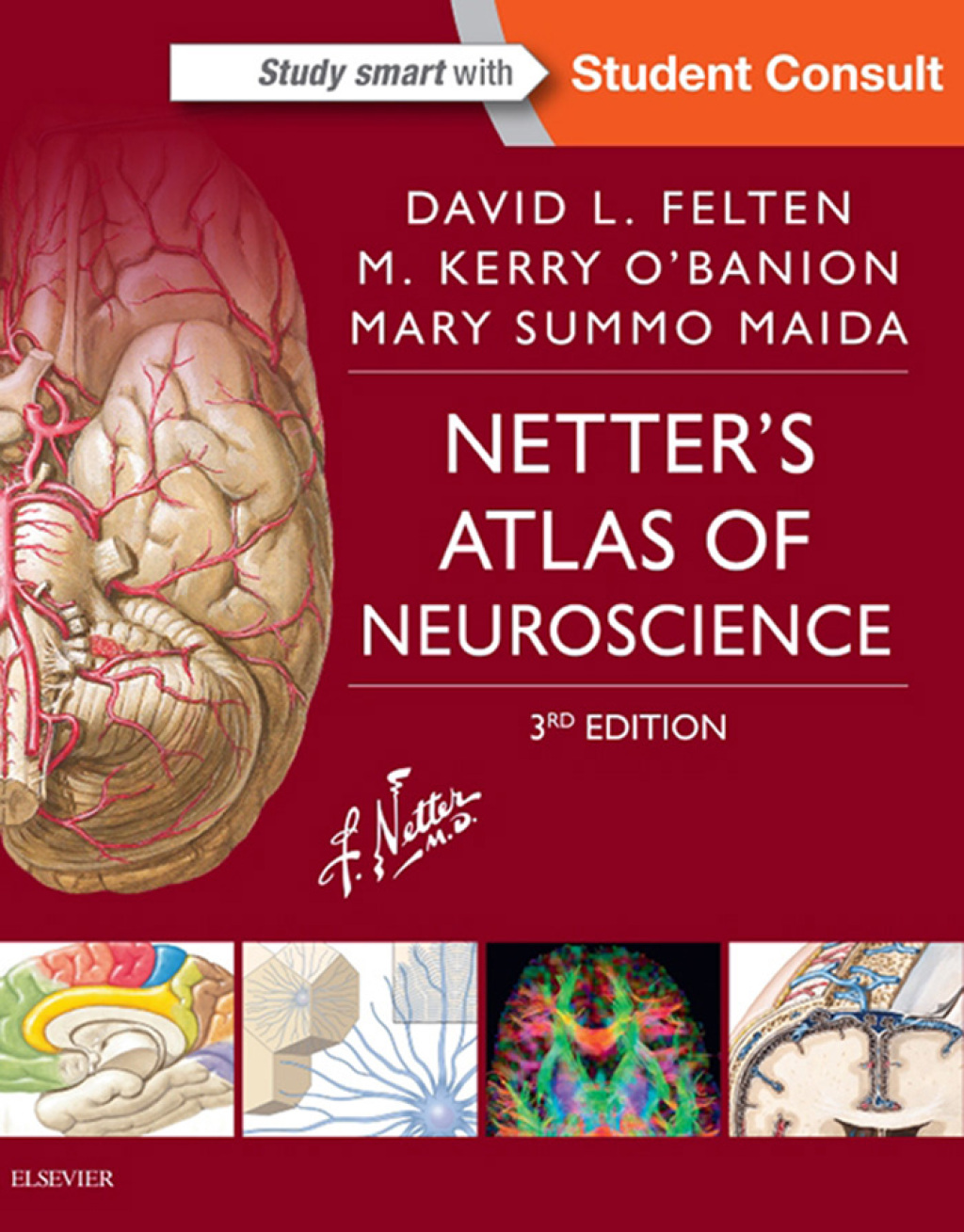 Netter's Atlas of Neuroscience - Electronic 3rd Edition â€“ PDF/EPUB Version Downloadable