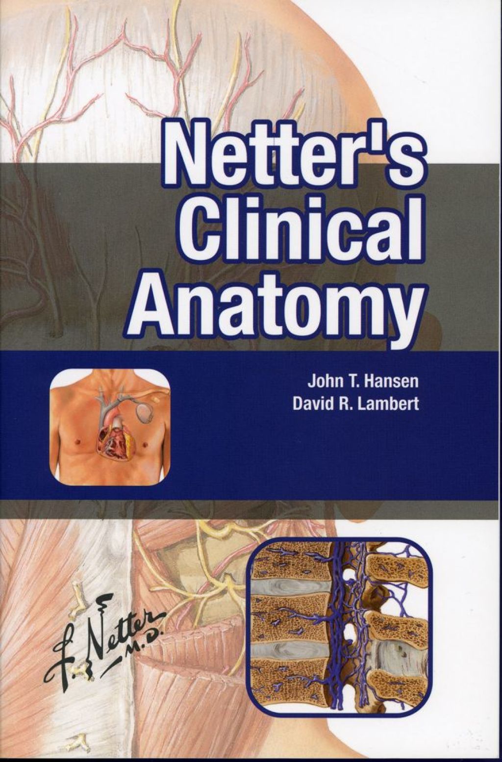 Netter's Clinical Anatomy 1st Edition â€“ PDF/EPUB Version Downloadable