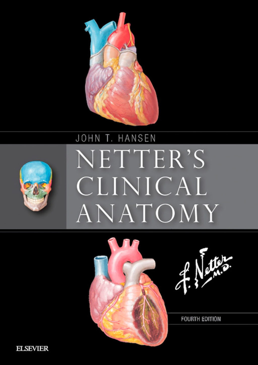 Netter's Clinical Anatomy 4th Edition â€“ PDF/EPUB Version Downloadable