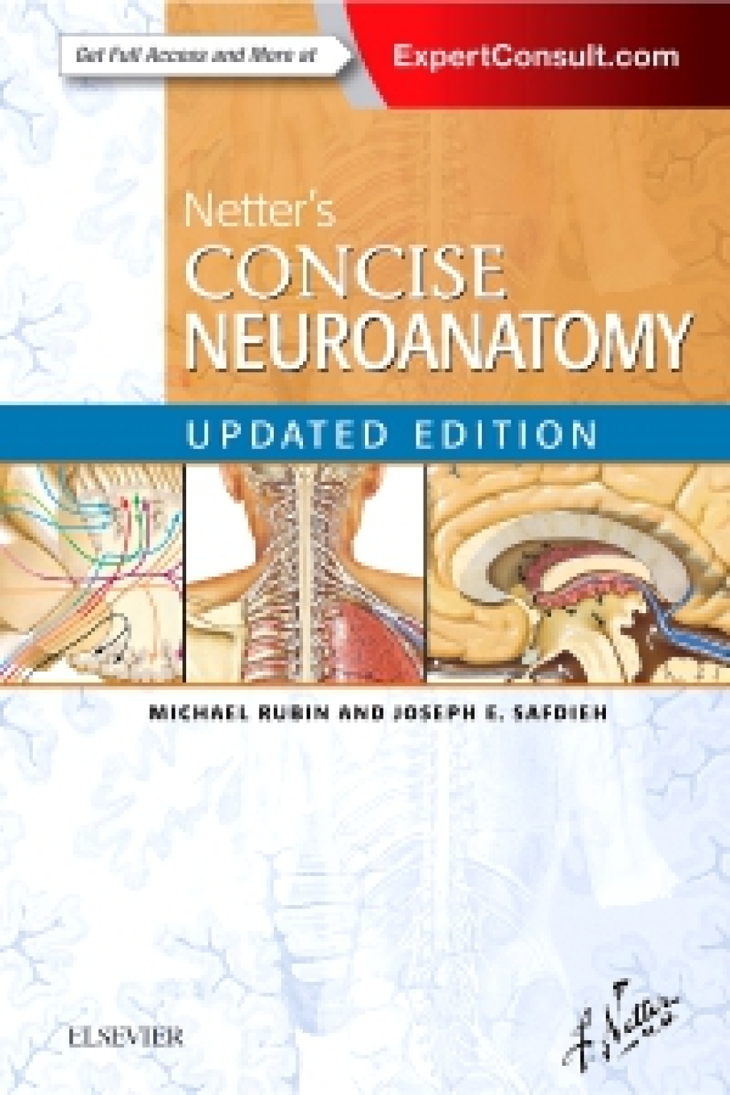 Netter's Concise Neuroanatomy Updated Edition 1st Edition â€“ PDF/EPUB Version Downloadable