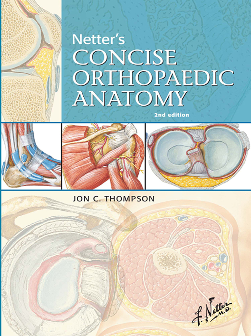 Netter's Concise Orthopaedic Anatomy, Updated Edition - Electronic 2nd Edition â€“ PDF/EPUB Version Downloadable