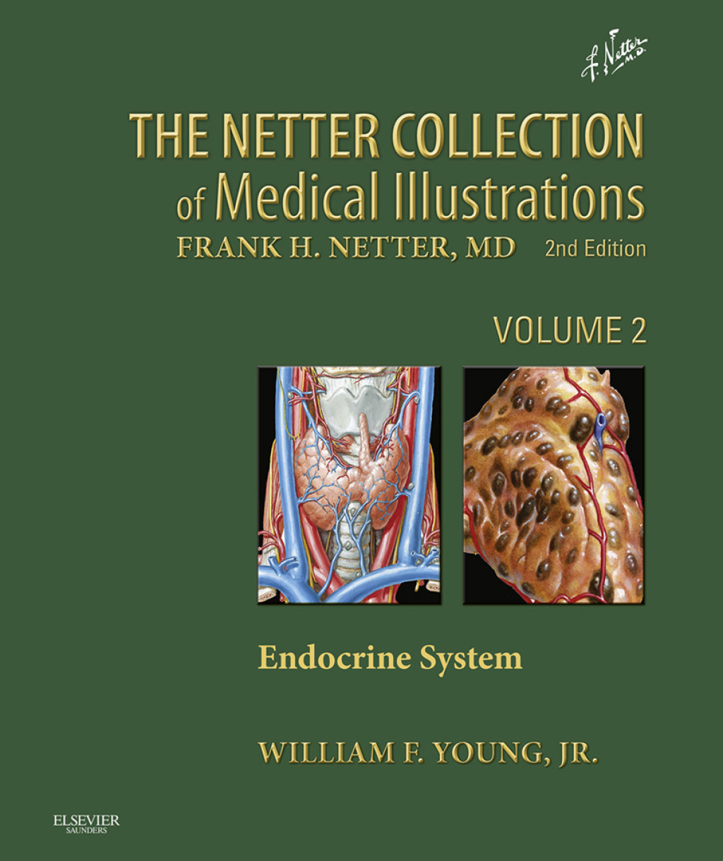 Netter's Endocrine System 2nd Edition â€“ PDF/EPUB Version Downloadable