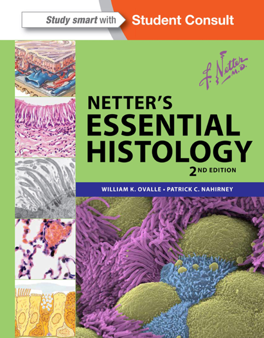 Netter's Essential Histology 2nd Edition â€“ PDF/EPUB Version Downloadable