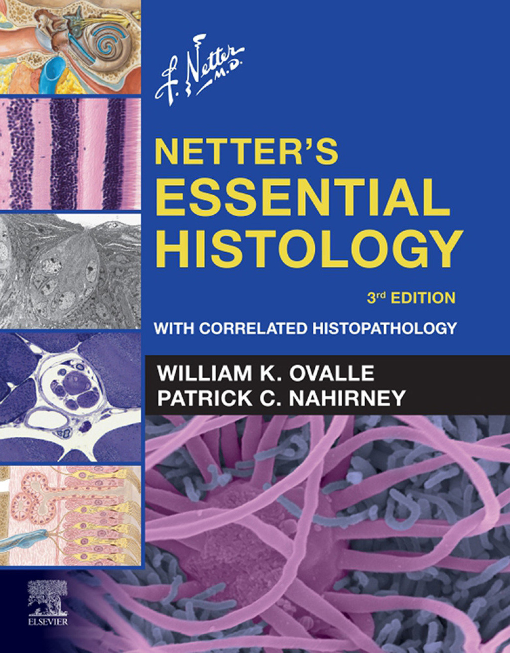 Netter's Essential Histology With Correlated Histopathology 3rd Edition â€“ PDF/EPUB Version Downloadable