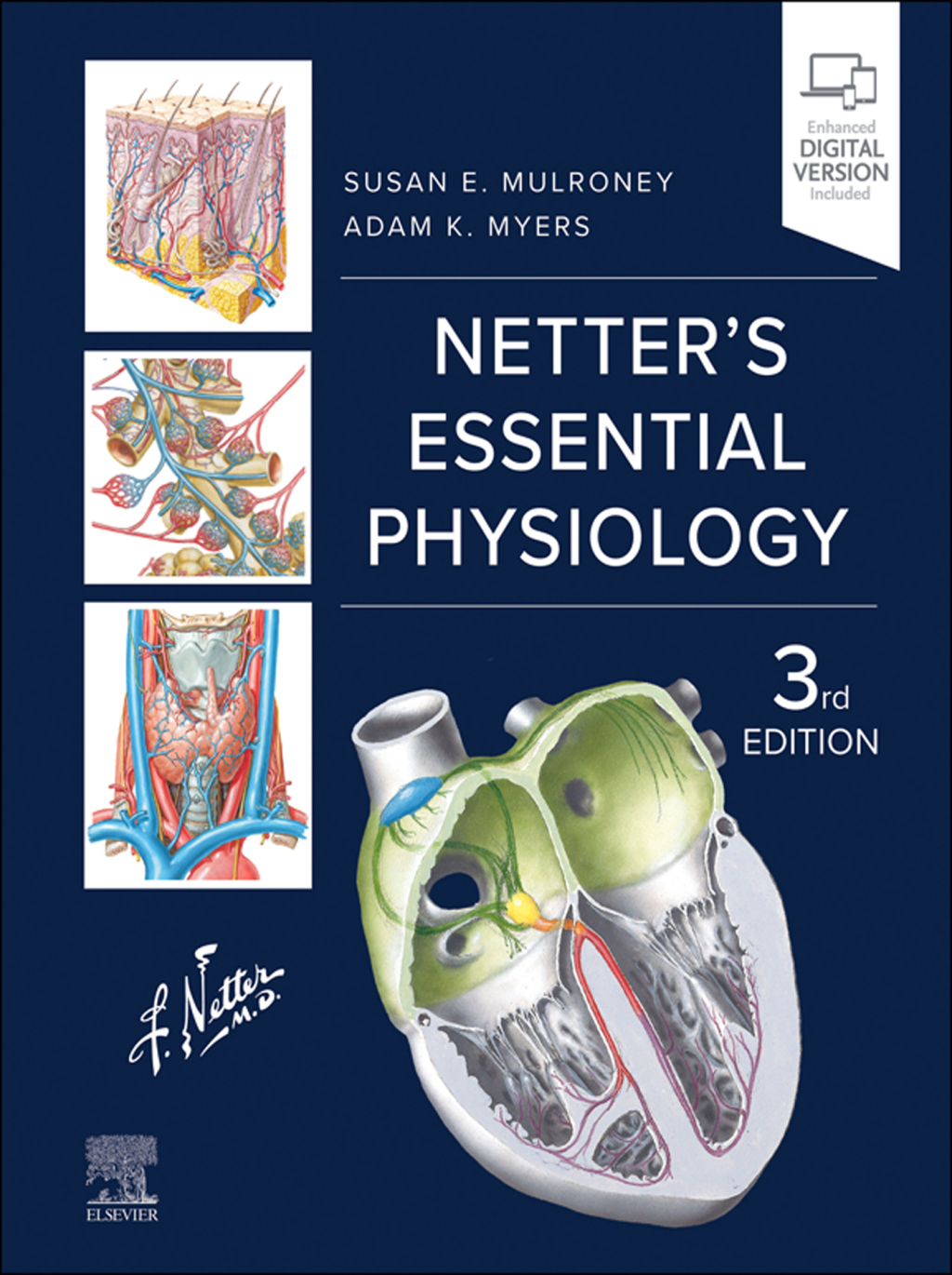 Netter's Essential Physiology 3rd Edition – PDF/EPUB Version Downloadable Netter's Essential Physiology 3rd Edition – PDF/EPUB Version Downloadable - Image 1