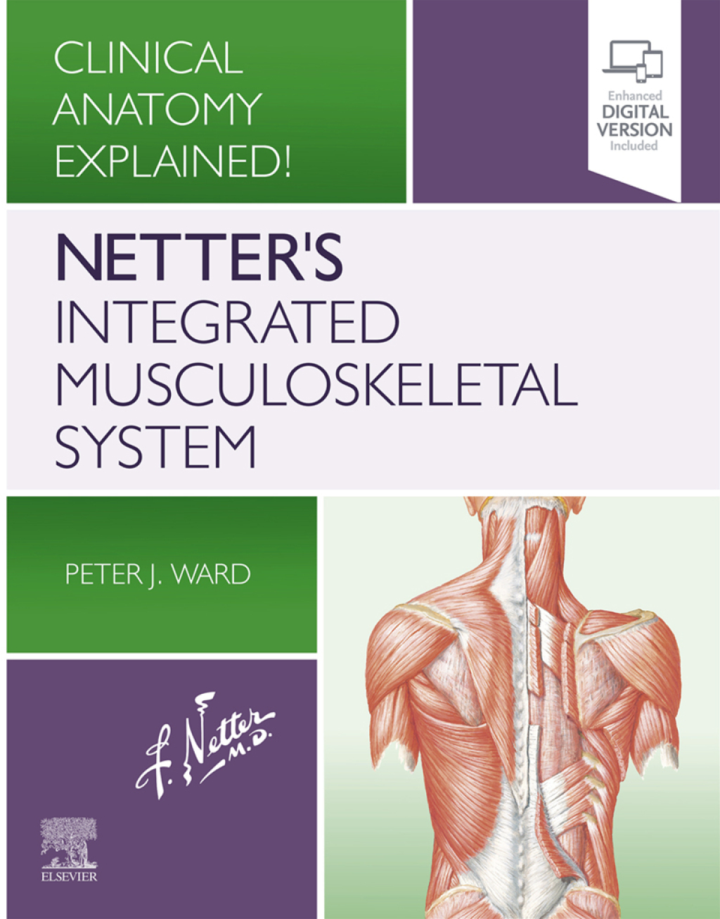 Netter's Integrated Musculoskeletal System Clinical Anatomy Explained!  â€“ PDF/EPUB Version Downloadable