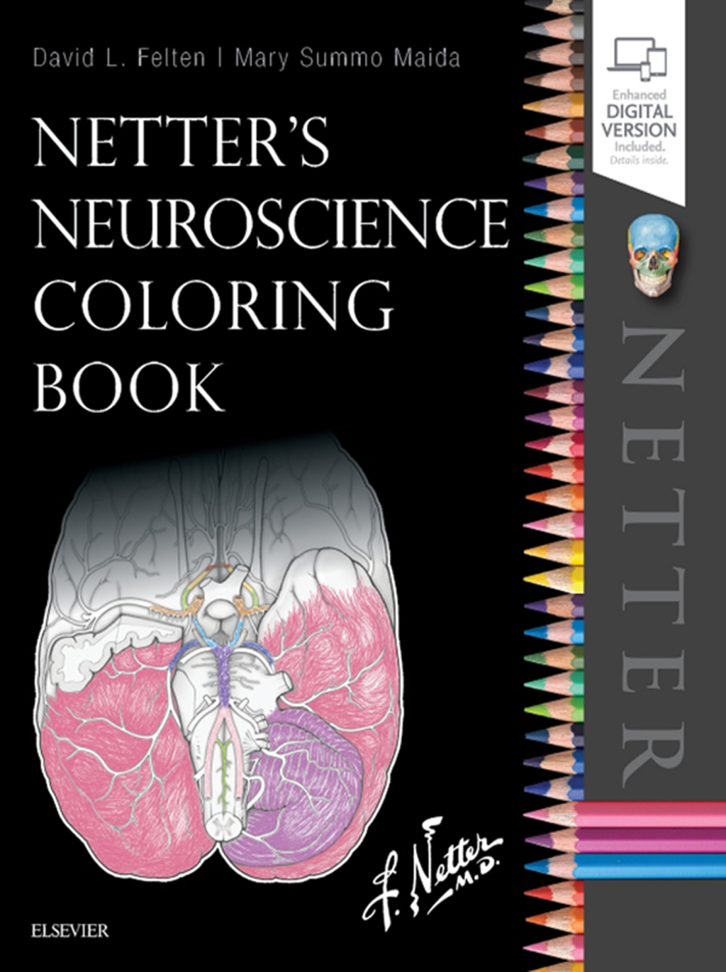 Netter's Neuroscience Coloring Book - (PDF/EPUB Version)