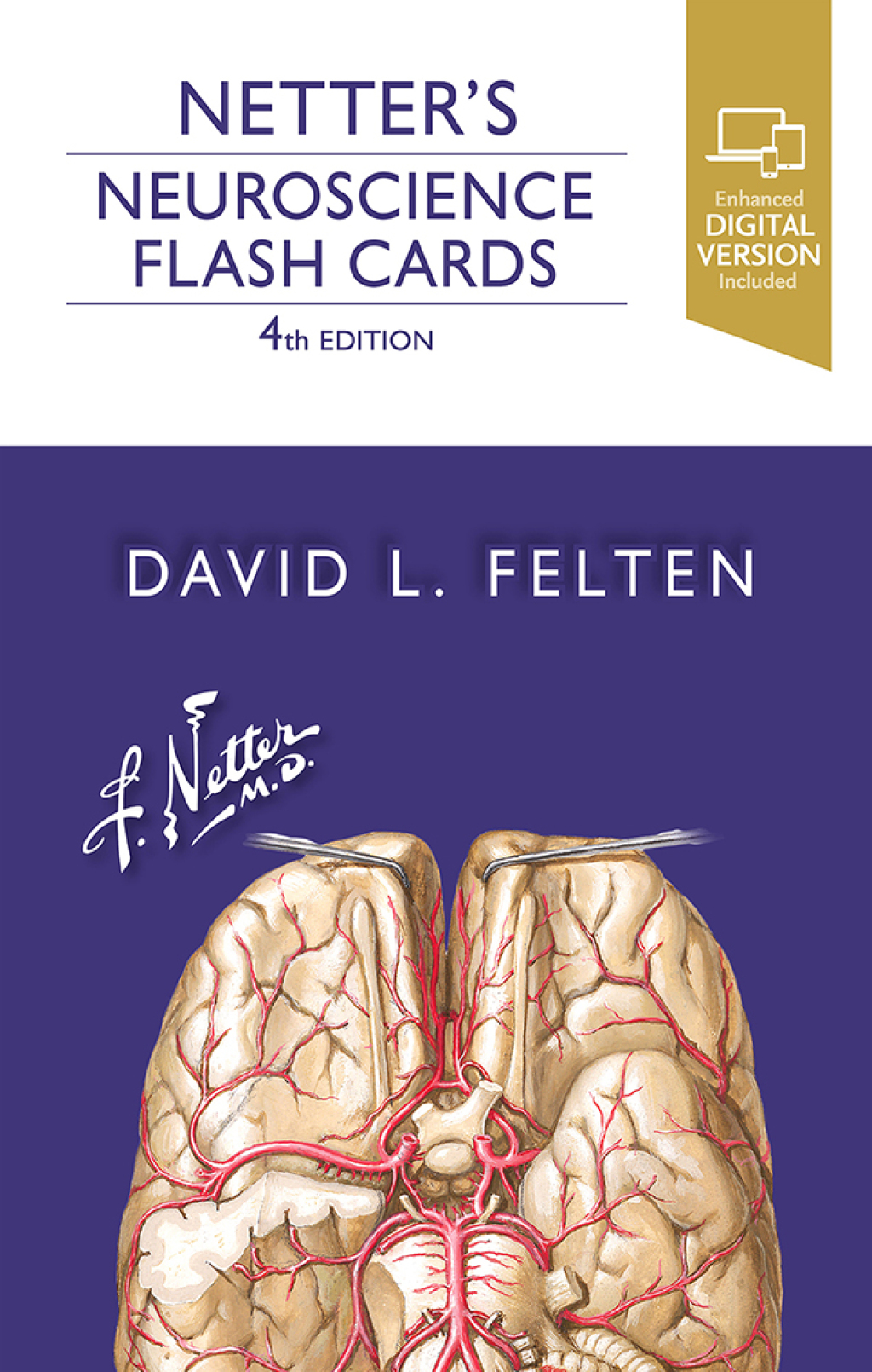 Netter's Neuroscience Flash Cards 4th Edition – PDF/EPUB Version Downloadable
