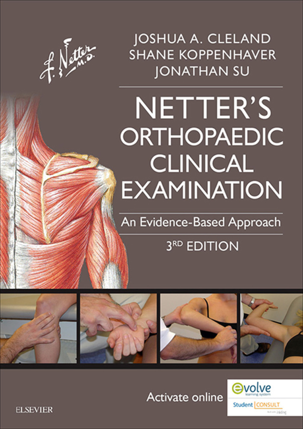 Netter's Orthopaedic Clinical Examination - Electronic 3rd Edition â€“ PDF/EPUB Version Downloadable