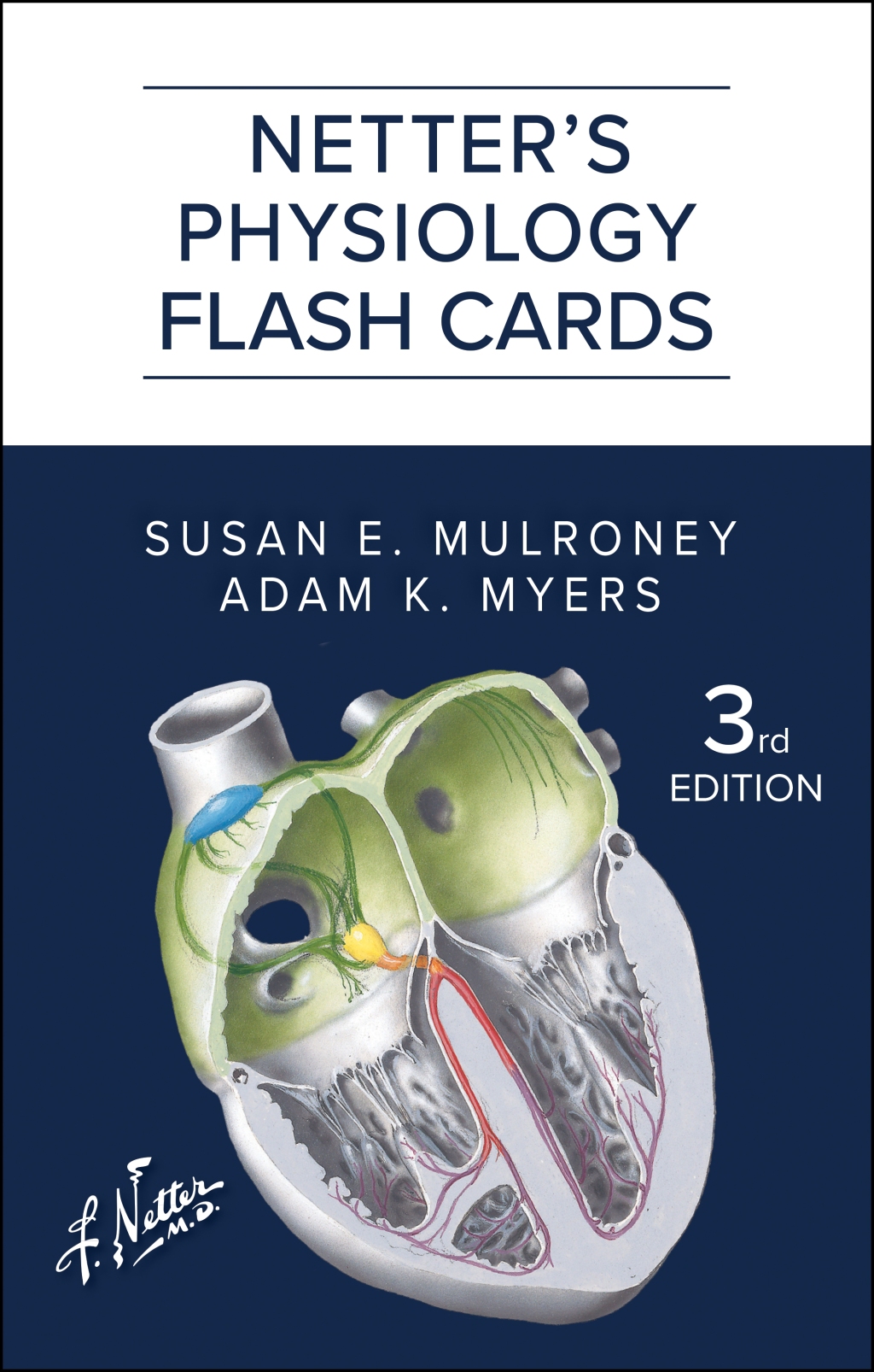 Netter's Physiology Flash Cards 3rd Edition â€“ PDF/EPUB Version Downloadable