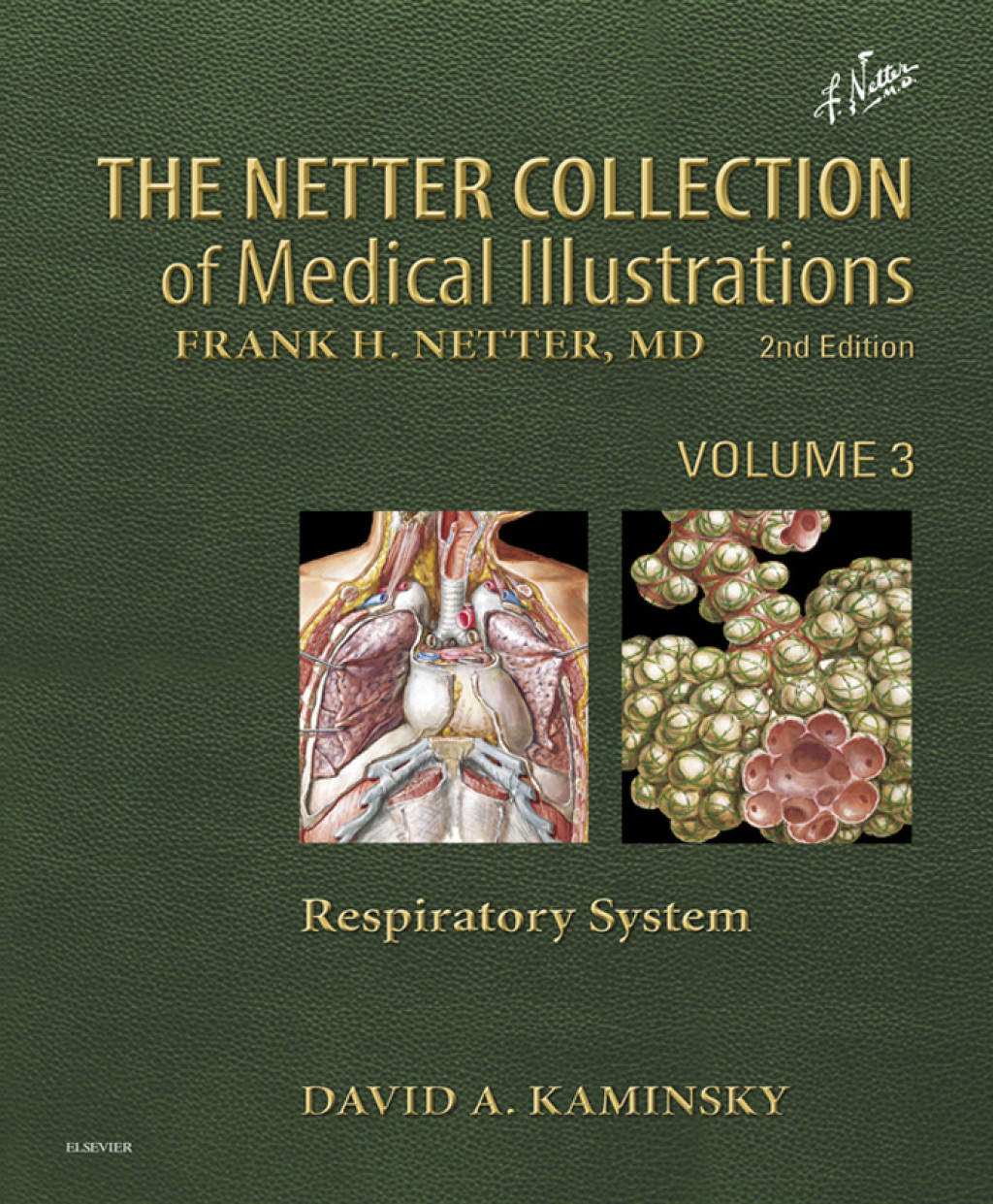 Netter's Respiratory System 2nd Edition â€“ PDF/EPUB Version Downloadable