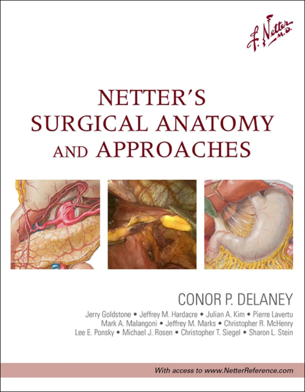 Netter's Surgical Anatomy and Approaches  â€“ PDF/EPUB Version Downloadable