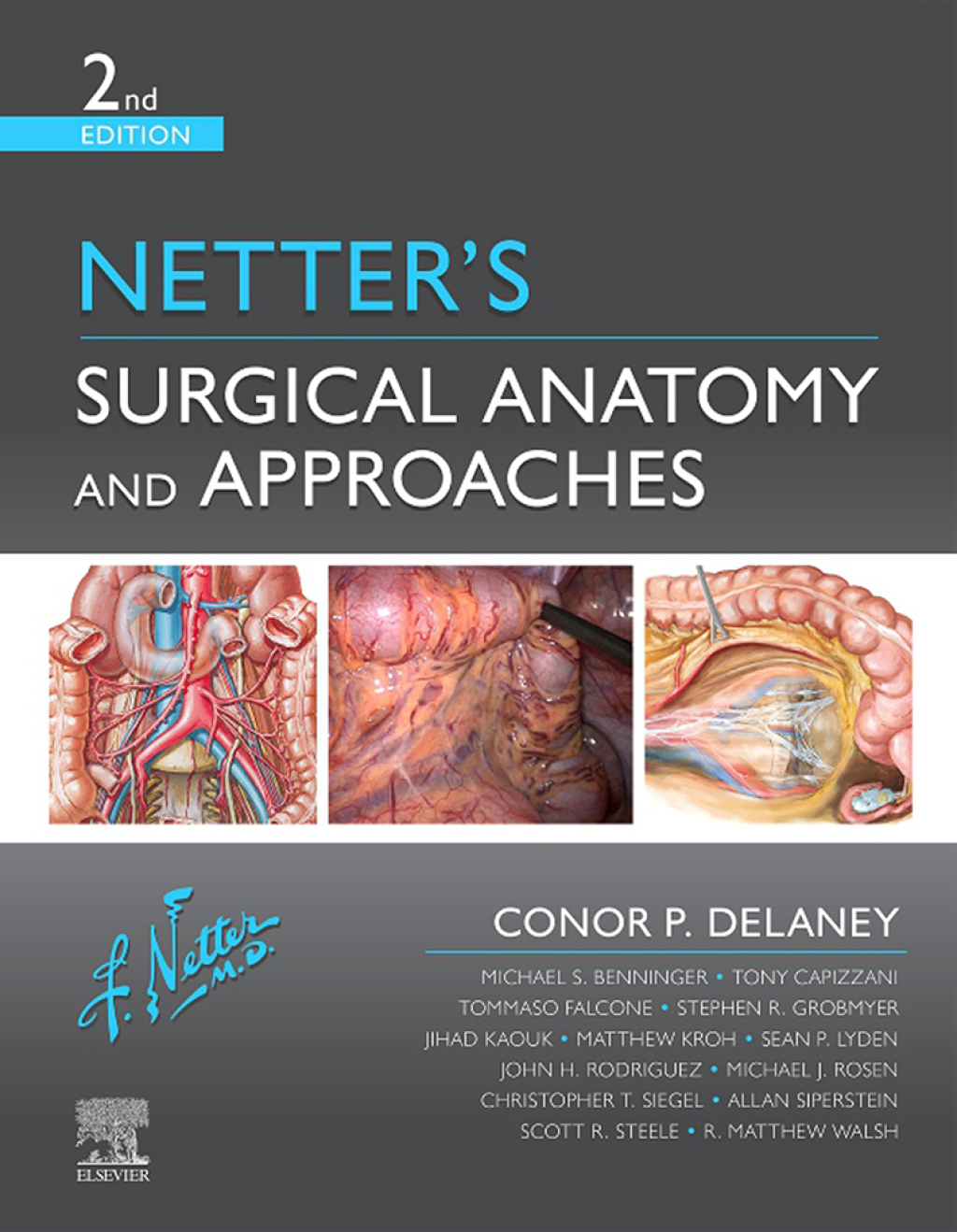 Netter's Surgical Anatomy and Approaches 2nd Edition â€“ PDF/EPUB Version Downloadable