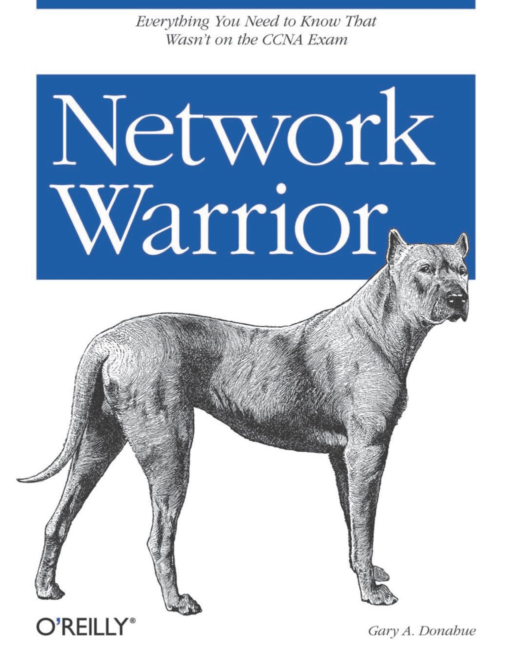 Network Warrior 1st Edition â€“ PDF/EPUB Version Downloadable