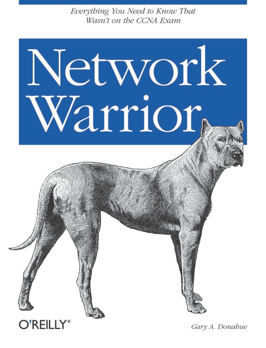 Network Warrior 1st Edition â€“ PDF/EPUB Version Downloadable