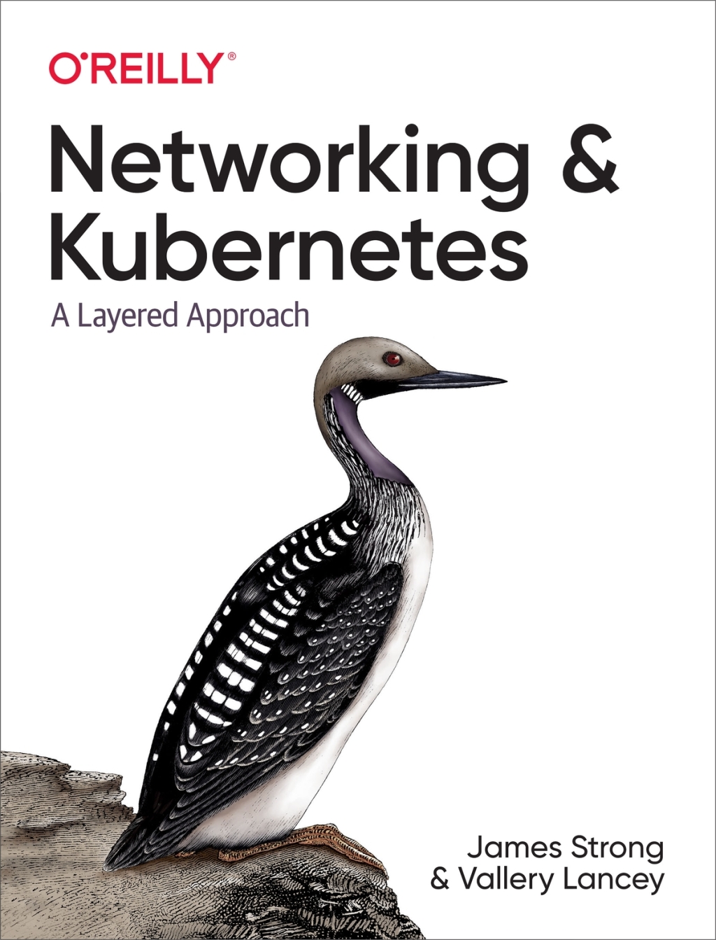 Networking and Kubernetes A Layered Approach 1st Edition â€“ PDF/EPUB Version Downloadable