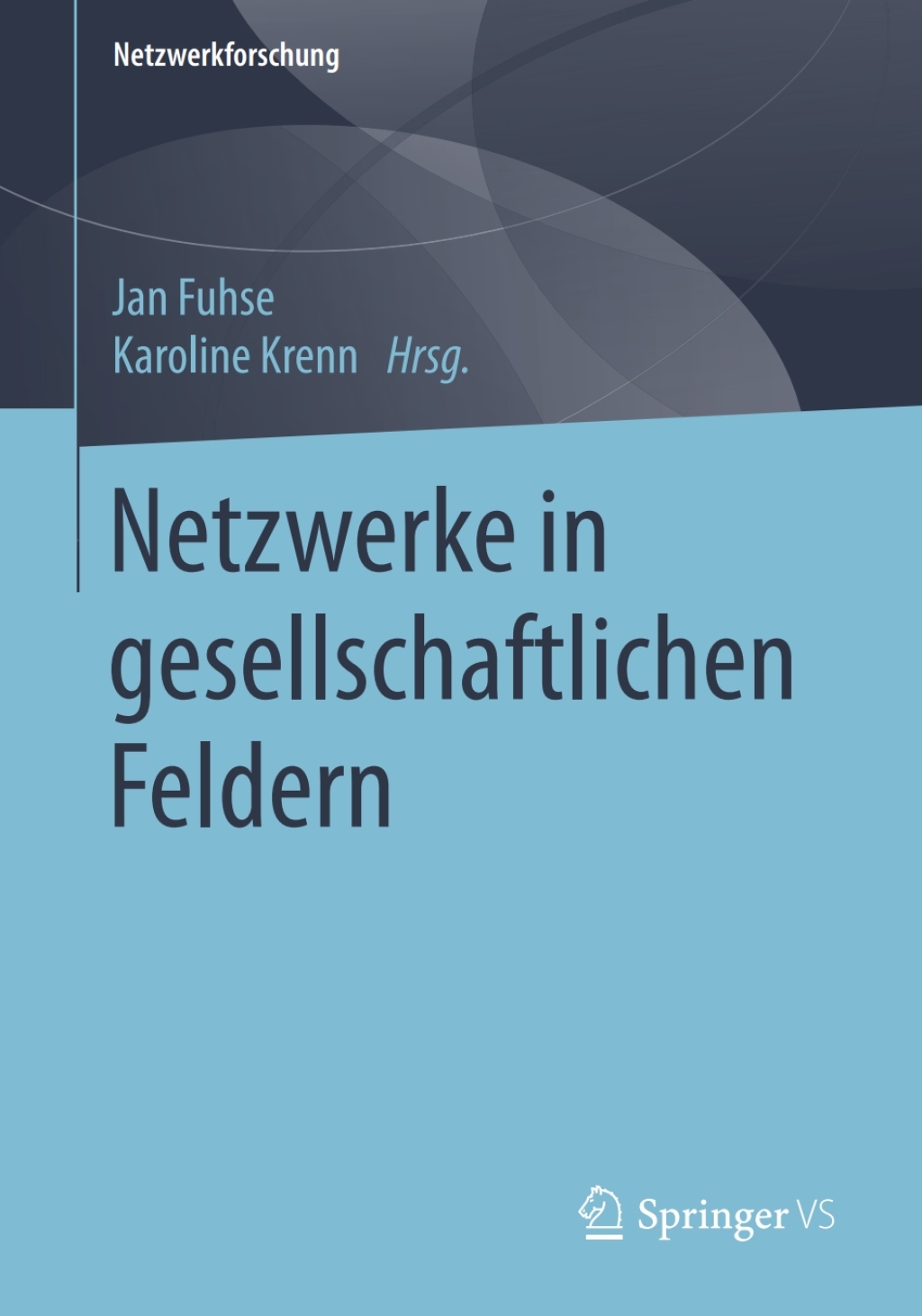 Netzwerke in gesellschaftlichen Feldern  â€“ PDF/EPUB Version Downloadable
