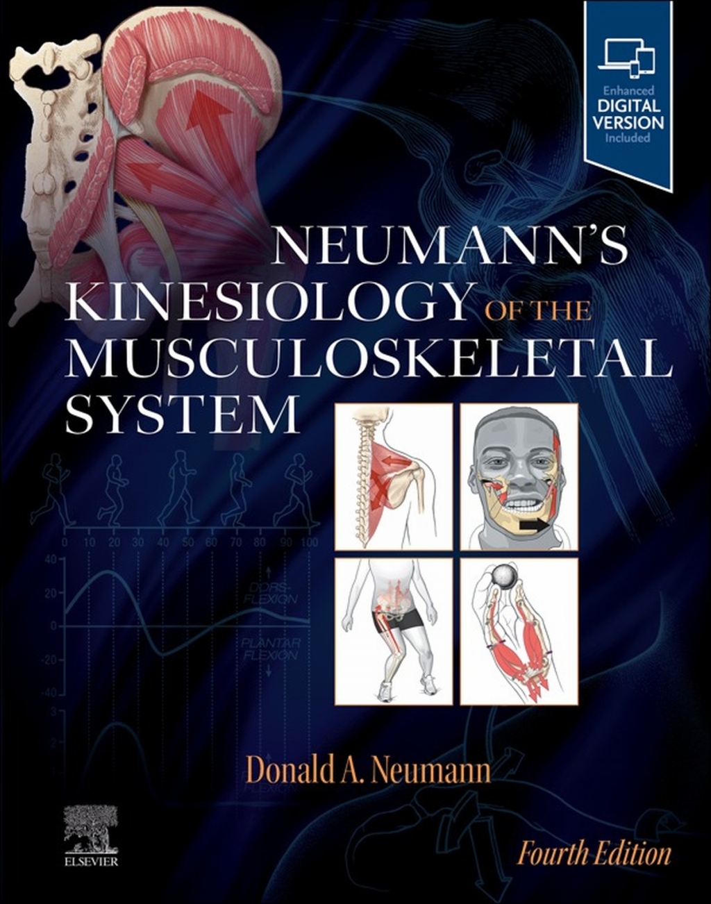 Neumannâ€™s Kinesiology of the Musculoskeletal System 4th Edition â€“ PDF/EPUB Version Downloadable
