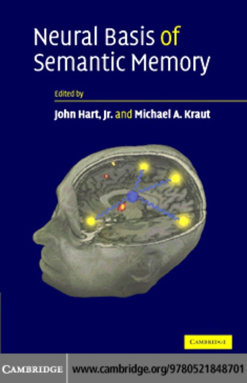 Neural Basis of Semantic Memory 1st Edition â€“ PDF/EPUB Version Downloadable